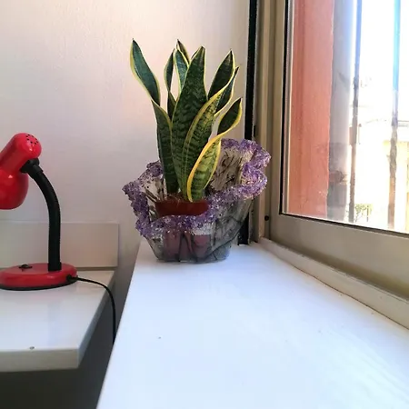 Casa Lella Al Borgo Pio, A Pochi Passi Da San Pietro Apartment
